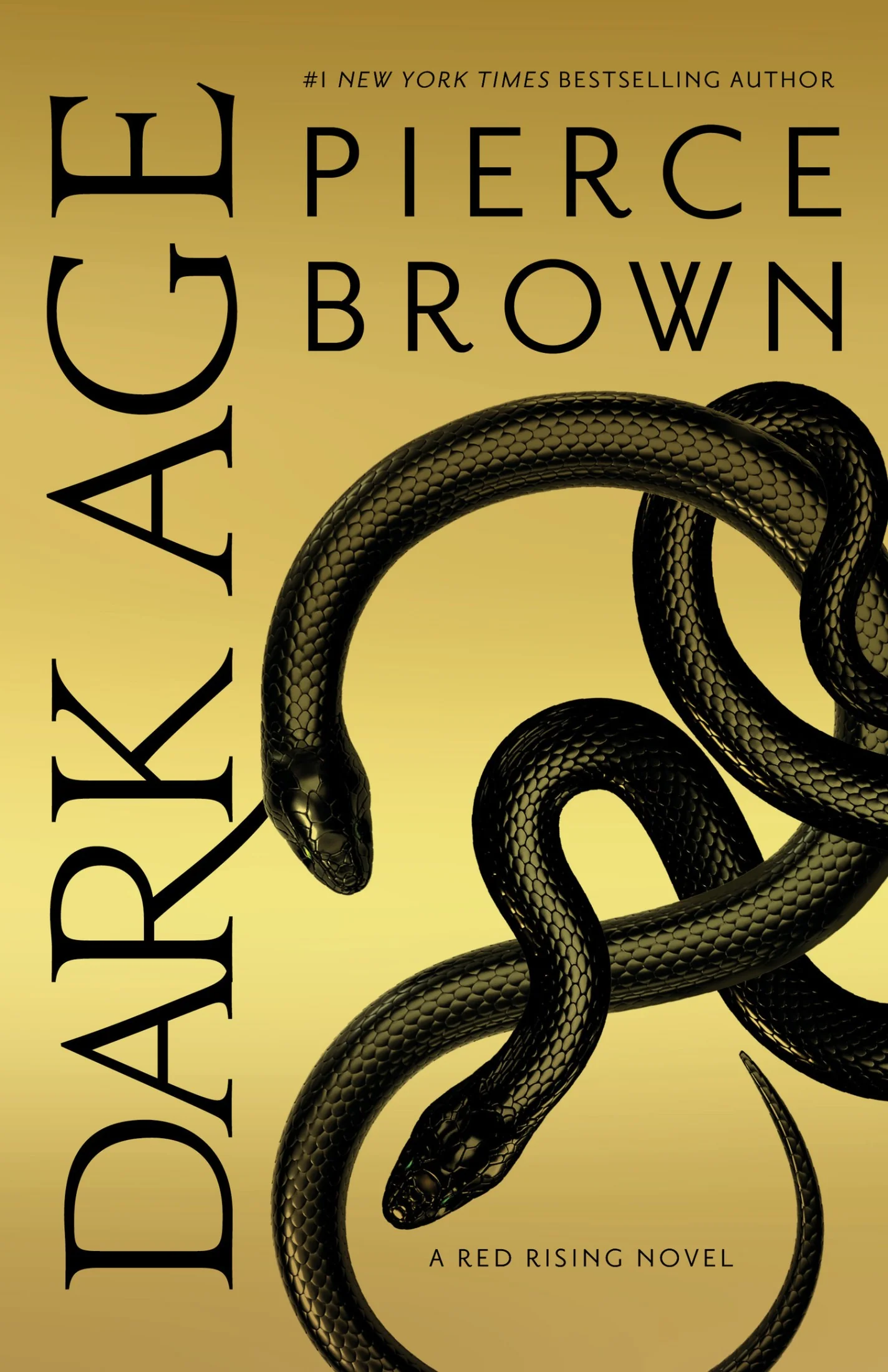 Dark Age cover