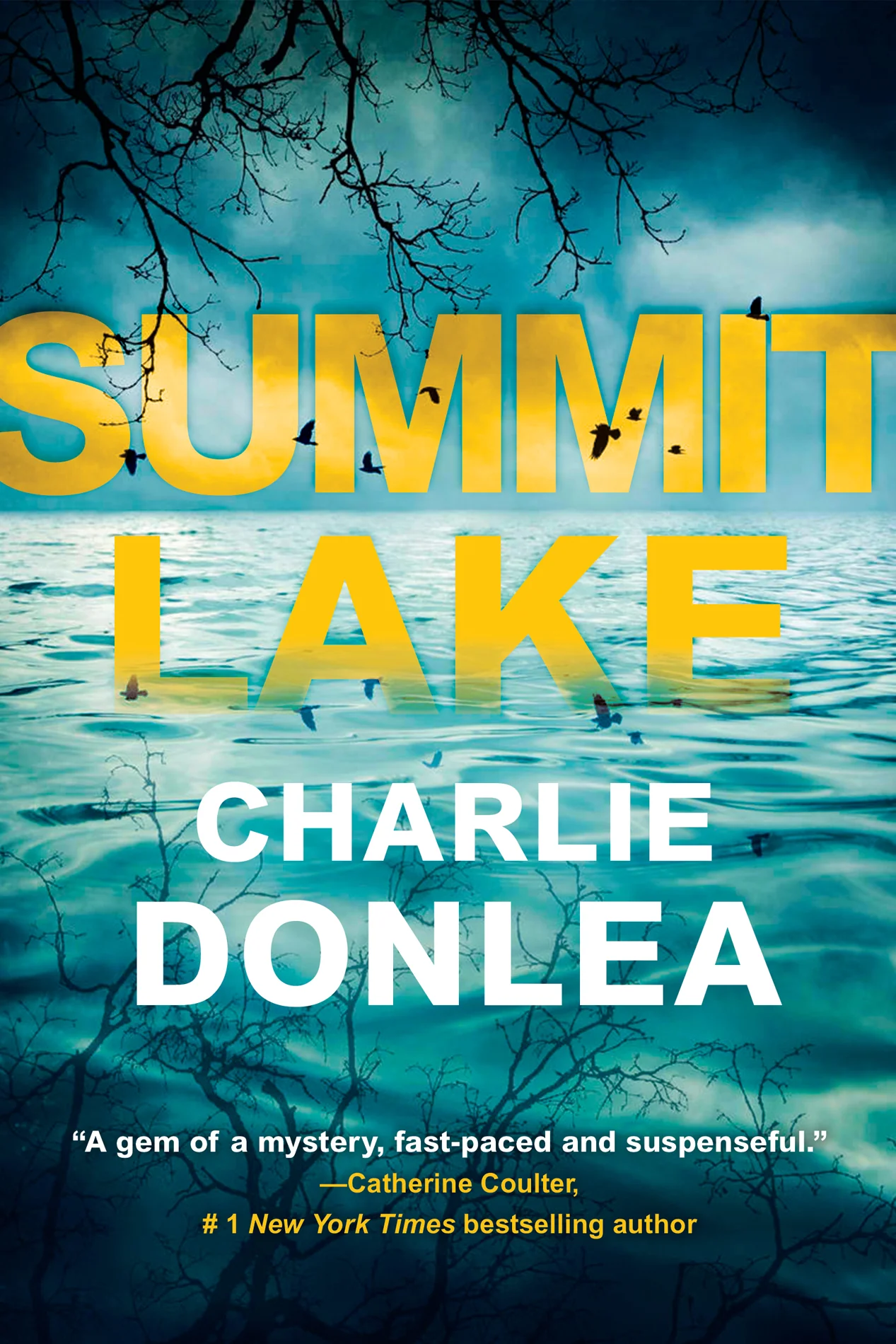 Summit Lake cover