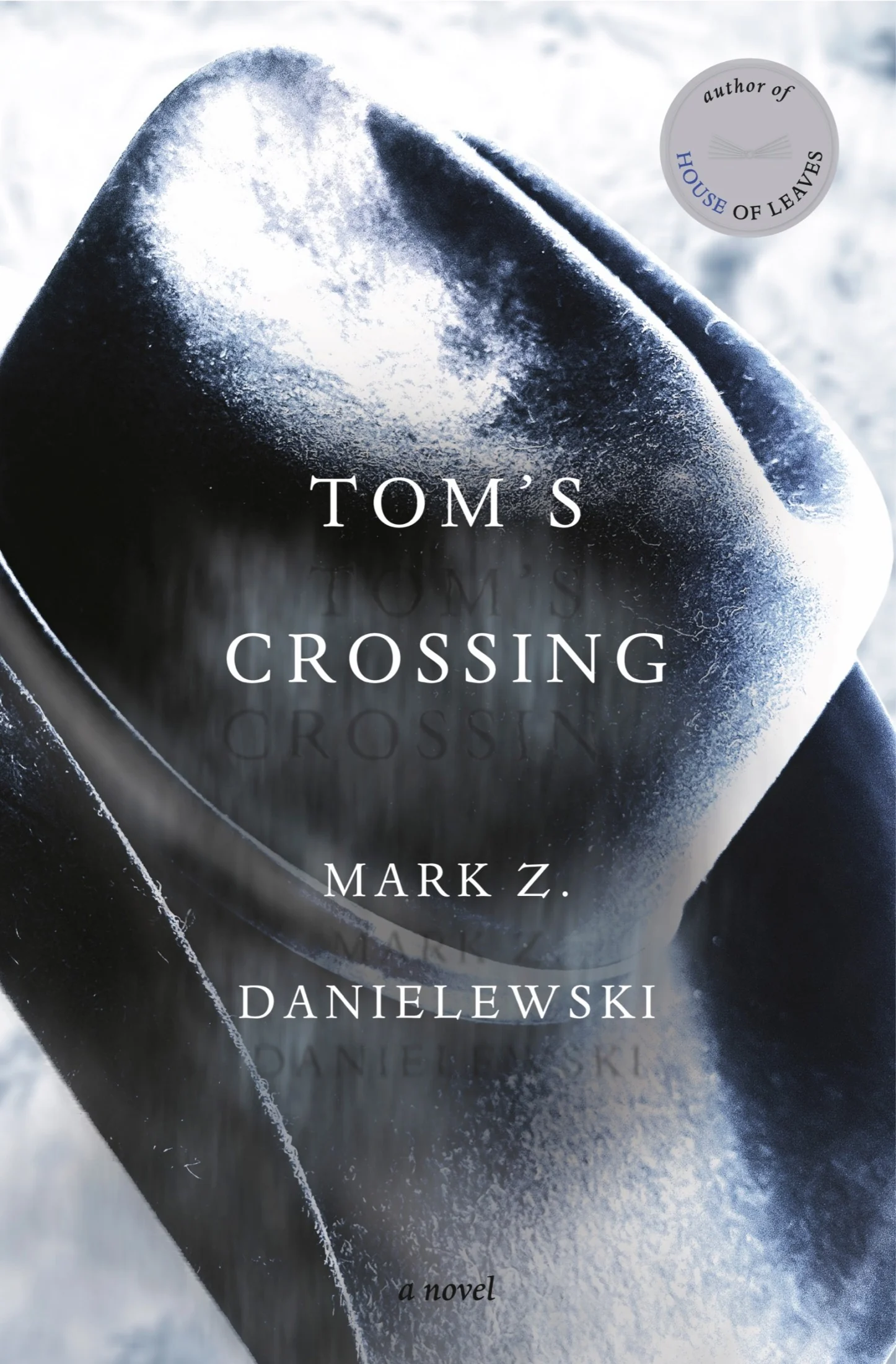 Tom's Crossing: A Novel cover